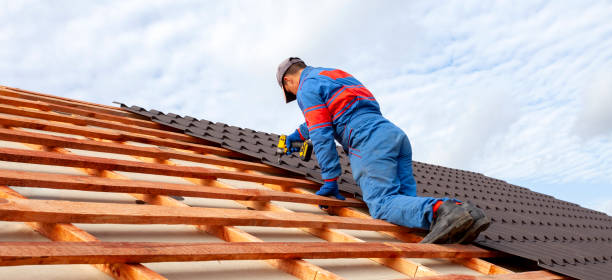 Best Roof Maintenance and Cleaning  in Meadow Les, AK